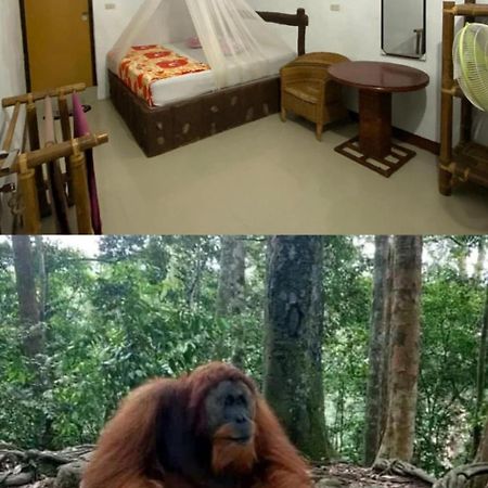 Brown Bamboo Guest House & Trekking Bukit Lawang Exterior photo